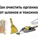 Природні Онкопротектори (брокколі ріпа крес-салат бруква) природні Онкопротектори