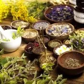 Застосування вогнівки при туберкульозі, воскова міль від туберкульозу (туберкульозу) Застосування вогнівки при туберкульозі, воскова міль від туберкульозу