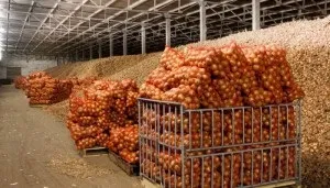 Продукти рослинництва - cельхозпортал