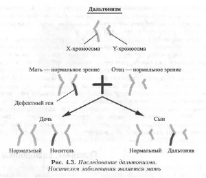 Ознаки, зчеплені з підлогою (ознаки) Ознаки, зчеплені з підлогою