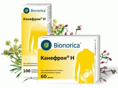 При циститі Канефрон показання до застосування (циститі) При циститі Канефрон показання до застосування