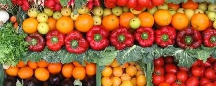Продукти рослинництва - cельхозпортал