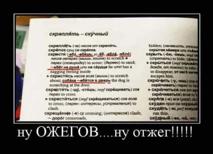 Прикольні картинки з написами - суперподборка (130 картинок) - мій маленький затишний куточок (написи) Прикольні картинки з написами - суперподборка (130 картинок) - мій маленький затишний куточок