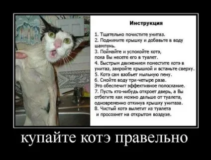 Прикольні картинки з написами - суперподборка (130 картинок) - мій маленький затишний куточок (картинок) Прикольні картинки з написами - суперподборка (130 картинок) - мій маленький затишний куточок