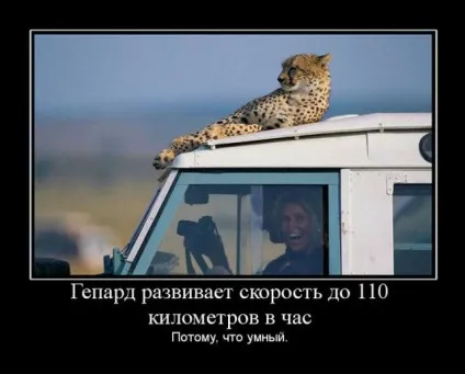 Прикольні картинки з написами - суперподборка (130 картинок) - мій маленький затишний куточок (прикольні картинки написами) Прикольні картинки з написами - суперподборка (130 картинок) - мій маленький затишний куточок