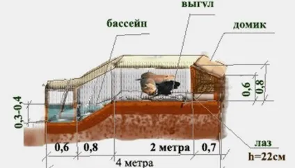 Промислове розведення нутрій в домашніх умовах для початківців як бізнес утримання та догляд, (розведення) Промислове розведення нутрій в домашніх умовах для початківців як бізнес утримання та догляд,