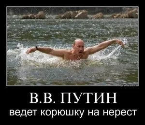 Путін і журавлі, путин - ватажок стерхов