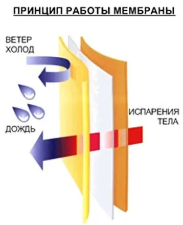 Пуховик наповнювачі, матеріали, поради щодо вибору (поради щодо вибору) Пуховик наповнювачі, матеріали, поради щодо вибору