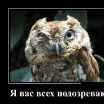 Колишній на курорті зробив пропозицію своїй дівчині