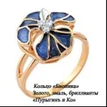 Біоформи в промисловості, біоформи в інтер'єрі - бионические форми у створенні предметного середовища і
