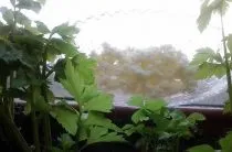 Безалкогольний мохіто в домашніх умовах