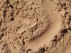 Бетон з пгс призначений для фундаменту, дачні справи (бетон) Бетон з пгс призначений для фундаменту, дачні справи