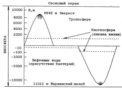 Біосфера - студопедія