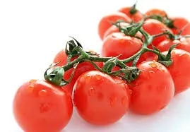 Різноманітність помідорів - вирощування томатів у теплиці (основу даної класифікації) Різноманітність помідорів - вирощування томатів у теплиці