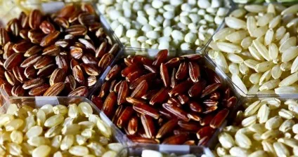 Рис (чорний, пропарений) корисні властивості і протипоказання (корисні) Рис (чорний, пропарений) корисні властивості і протипоказання
