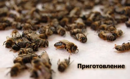 Рецепти приготування бджолиного підмору