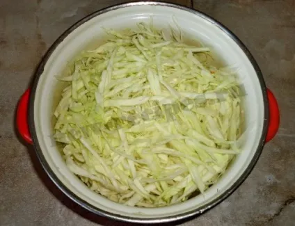 Рецепт дуже смачної тушкованої капусти з м'ясом (дуже) Рецепт дуже смачної тушкованої капусти з м'ясом