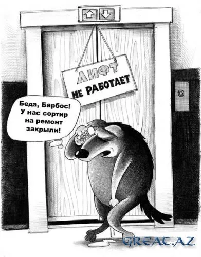 Роза кольору запеченої крові