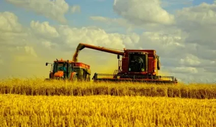 Россельхозбанк - кредит на розвиток особистого підсобного господарства 2016 (кредит) Россельхозбанк - кредит на розвиток особистого підсобного господарства 2016