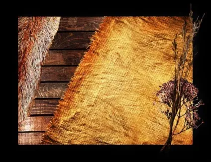 Runaswet, ворожіння одина «руна дня» (руна) Runaswet, ворожіння одина «руна дня»