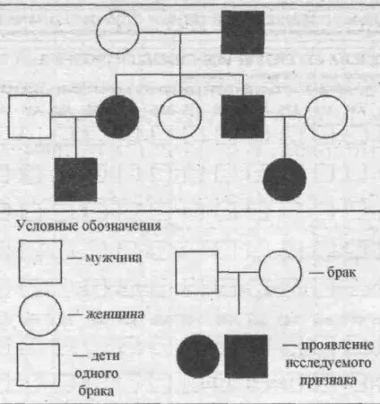 Рудий колір волосся рецесивний або домінантний ознака - інвестуй в своє здоров'я (батьків) Рудий колір волосся рецесивний або домінантний ознака - інвестуй в своє здоров'я