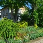 Сад безперервного цвітіння (36 фото) особливості раннього зацвітання садових дерев, квітів, фото і