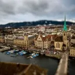 Найкрасивіша корова в світі виглядає, як плюшевий ведмідь (корова) Найкрасивіша корова в світі виглядає, як плюшевий ведмідь