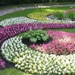 Сад безперервного цвітіння (36 фото) особливості раннього зацвітання садових дерев, квітів, фото і