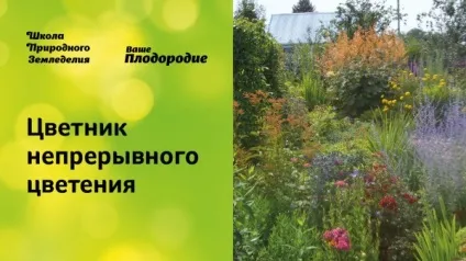 Сад безперервного цвітіння (36 фото) особливості раннього зацвітання садових дерев, квітів, фото і