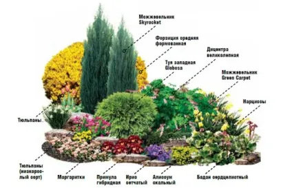 Сад безперервного цвітіння (36 фото) особливості раннього зацвітання садових дерев, квітів, фото і
