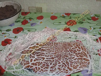 Сальники рецепт, приготування, дешево, смачно і незвично (сальники) Сальники рецепт, приготування, дешево, смачно і незвично