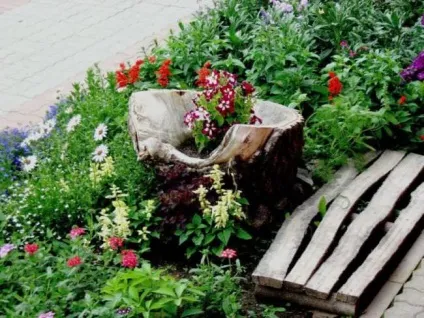 Рутар своїми руками на дачі, корчі, в ландшафтному дизайні, креслення, фото, відео (корчі) Рутар своїми руками на дачі, корчі, в ландшафтному дизайні, креслення, фото, відео