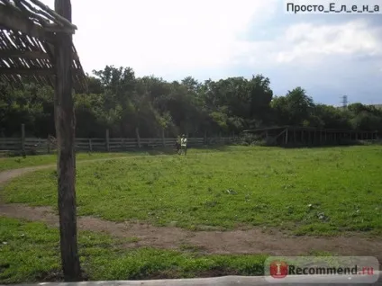 Сафарі-парк кудикіна гора, кам'янка Задонський район Алчевська область - «а ви ходили на кудикіну (гора) Сафарі-парк кудикіна гора, кам'янка Задонський район Алчевська область - «а ви ходили на кудикіну