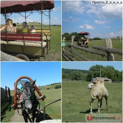 Сафарі-парк кудикіна гора, кам'янка Задонський район Алчевська область - «а ви ходили на кудикіну (сафарі-парк) Сафарі-парк кудикіна гора, кам'янка Задонський район Алчевська область - «а ви ходили на кудикіну
