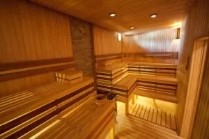 Сауна в будинку особливості і гідності (будинку) Сауна в будинку особливості і гідності