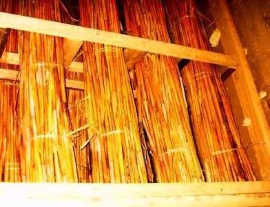 З чого почати будівництво будинку, поради бувалого виконроба (чого) З чого почати будівництво будинку, поради бувалого виконроба