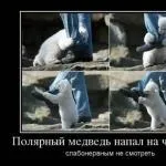 Секс що оцінить чоловік (чоловічу думку) дуже часто від жінок припадає (секс) Секс що оцінить чоловік (чоловічу думку) дуже часто від жінок припадає