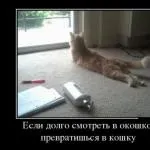 Секс що оцінить чоловік (чоловічу думку) дуже часто від жінок припадає (оцінить) Секс що оцінить чоловік (чоловічу думку) дуже часто від жінок припадає