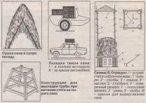 сінокісна пара