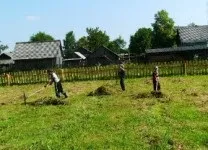 сінокісна пара
