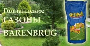 Насіння газонних трав купити - ціни на газонні трави - благоустрій, ландшафтний дизайн та (догляд за газоном) Насіння газонних трав купити - ціни на газонні трави - благоустрій, ландшафтний дизайн та