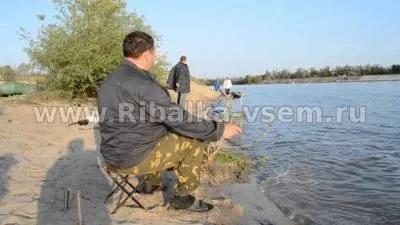 оселедець залом