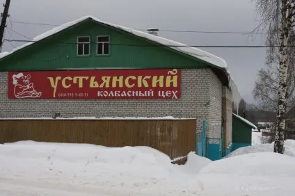 Шангали і вільшанка Устьянска району (2008 рік) на сайті юрия Міхеда (Шангали) Шангали і вільшанка Устьянска району (2008 рік) на сайті юрия Міхеда