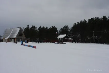 Шангали і вільшанка Устьянска району (2008 рік) на сайті юрия Міхеда (вільшанка) Шангали і вільшанка Устьянска району (2008 рік) на сайті юрия Міхеда