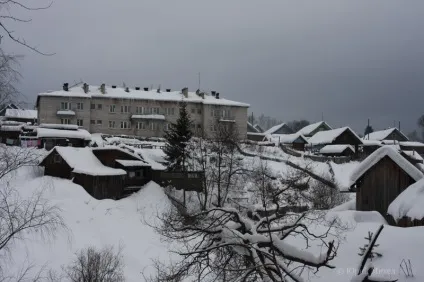 Шангали і вільшанка Устьянска району (2008 рік) на сайті юрия Міхеда (вільшанка) Шангали і вільшанка Устьянска району (2008 рік) на сайті юрия Міхеда