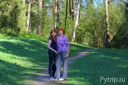 село Михайлівське