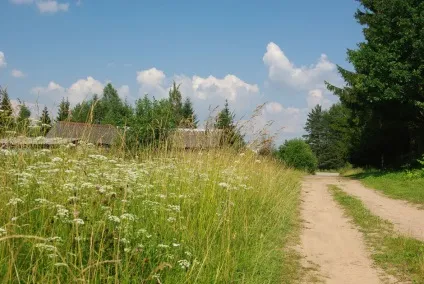 Сільський туризм вУкаіни особливості, куди з'їздити