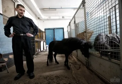 Секрети дресирувальників чому артисти проти цирку без тварин (Євген Кравс УНІАН) Секрети дресирувальників чому артисти проти цирку без тварин