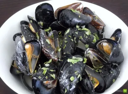 Seafood guide мідії (10 фото)