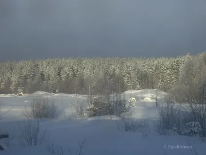 Шангали і вільшанка Устьянска району (2008 рік) на сайті юрия Міхеда (вільшанка) Шангали і вільшанка Устьянска району (2008 рік) на сайті юрия Міхеда
